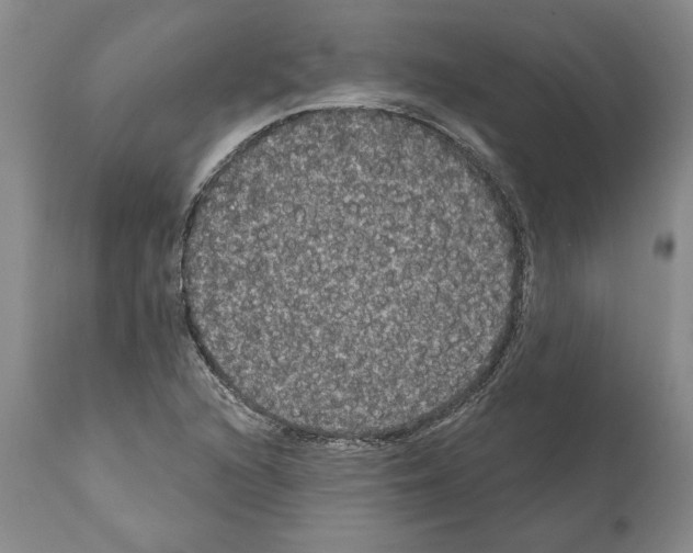 X0000112001216200909141053