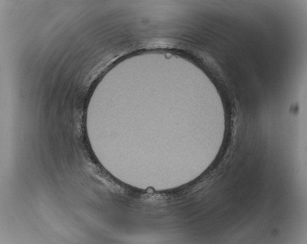 X0000112001217200909141053