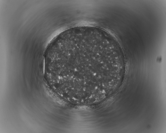 X0000112001219200909141053