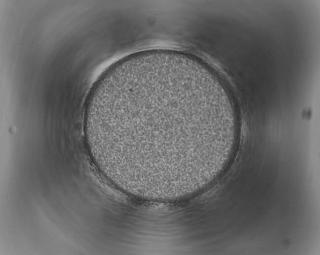 X0000112001222200909141053