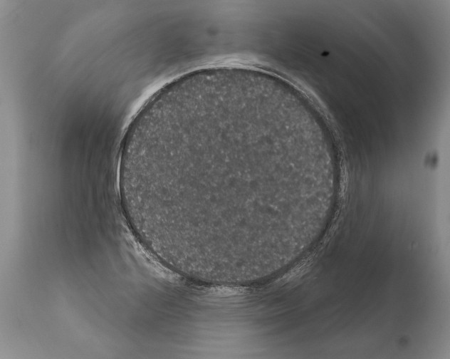 X0000112001224200909141053