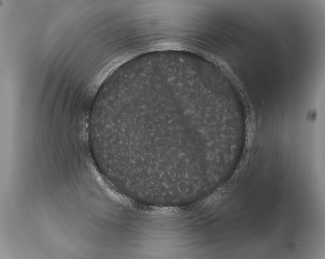 X0000112001225200909141053