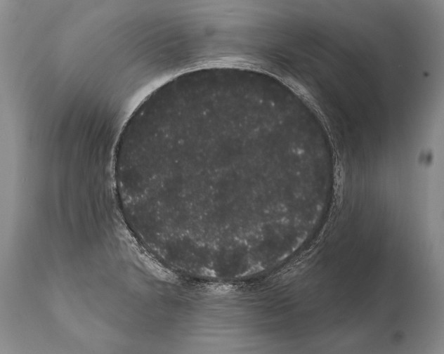 X0000112001230200909141053