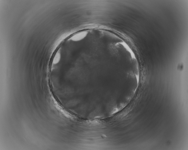 X0000112001231200909141053