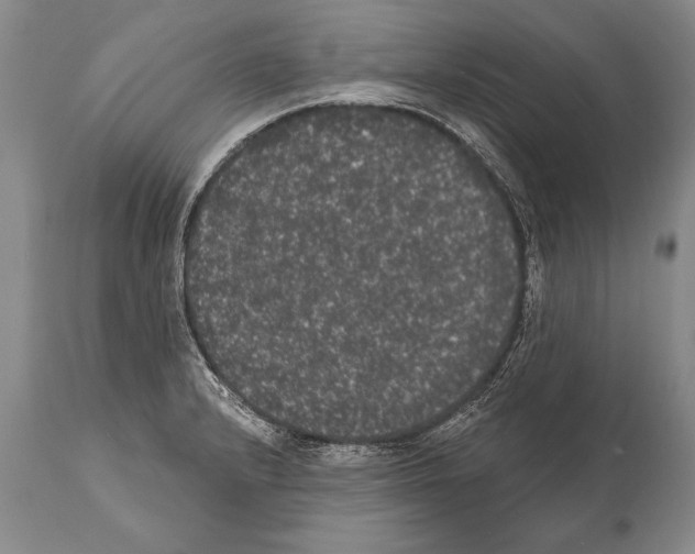 X0000112001232200909141053