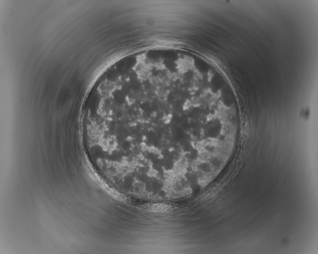 X0000112001235200909141053