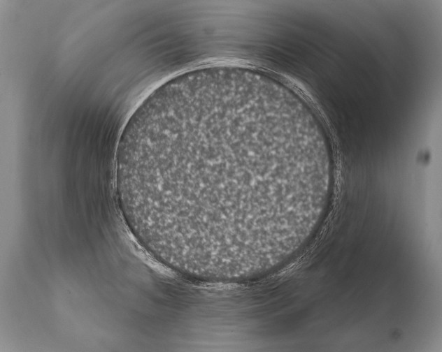 X0000112001236200909141053