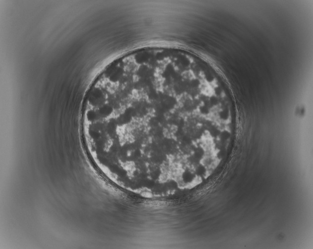 X0000112001237200909141053