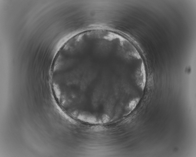 X0000112001239200909141053