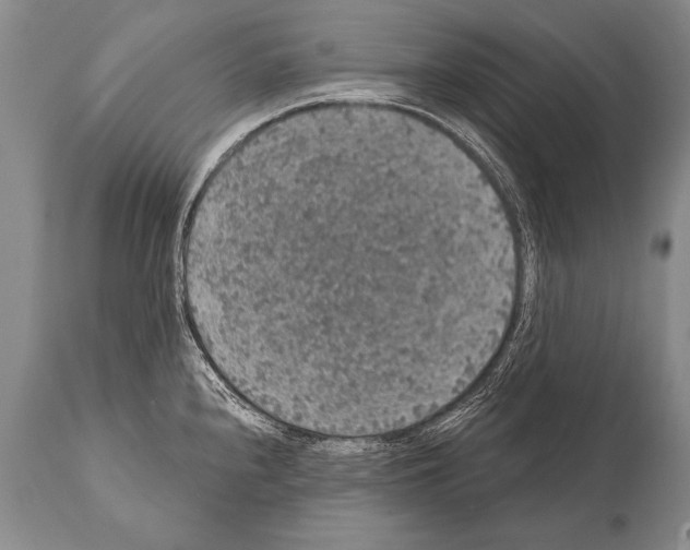 X0000112001240200909141053