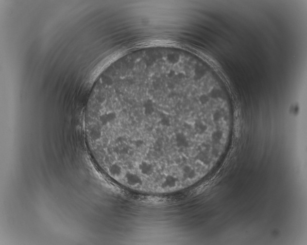 X0000112001241200909141053