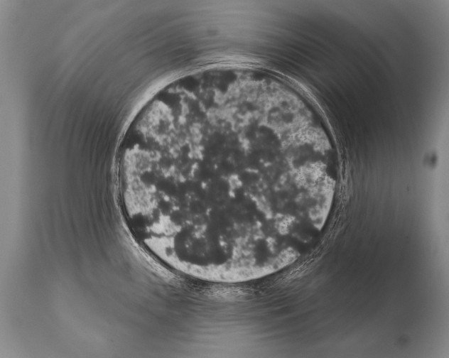 X0000112001243200909141053