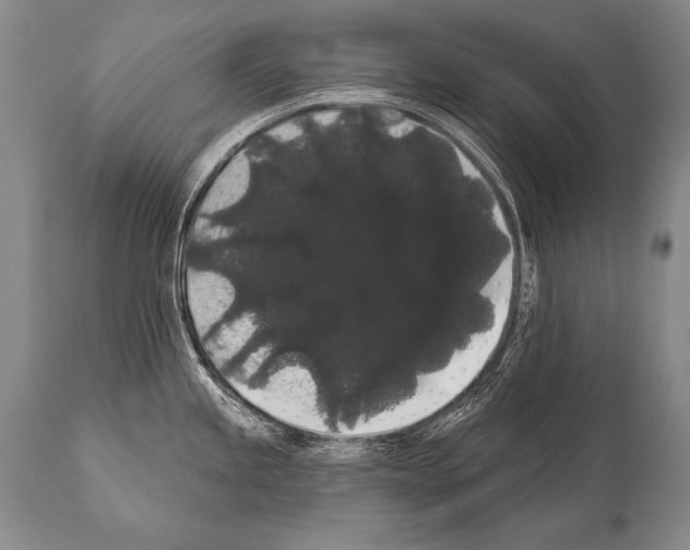 X0000112001245200909141053