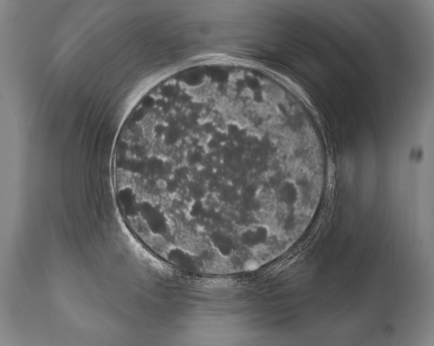 X0000112001247200909141053