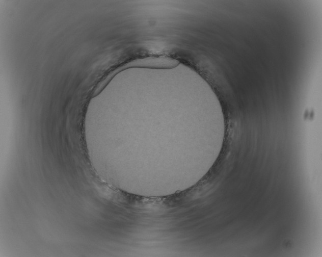 X0000112001249200909141053