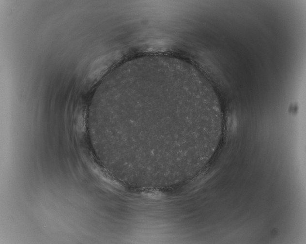 X0000112001250200909141053