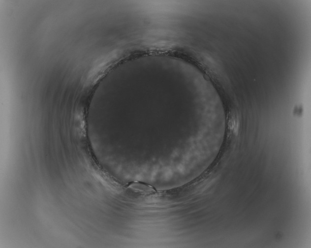 X0000112001252200909141052