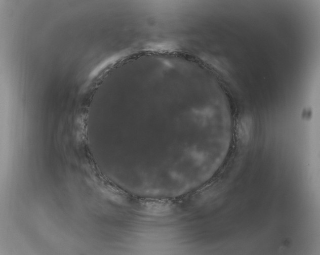 X0000112001254200909141052