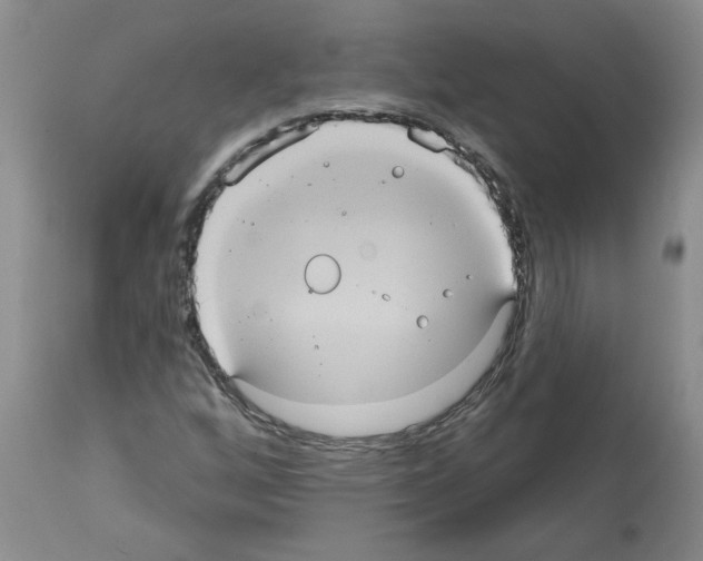 X0000112001256200909141052