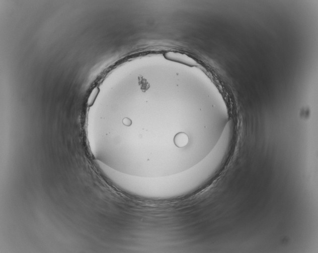 X0000112001261200909141052