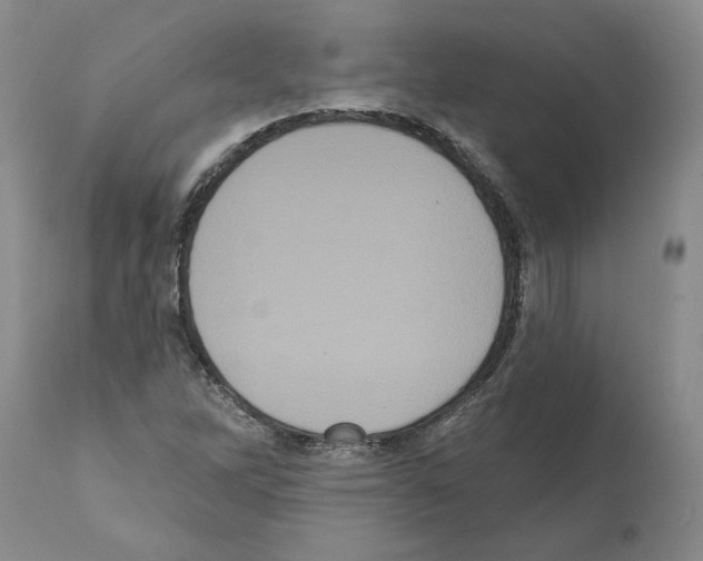 X0000112001262200909141052