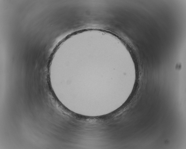 X0000112001264200909141052