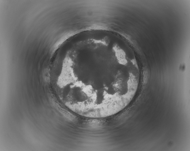 X0000112001266200909141052