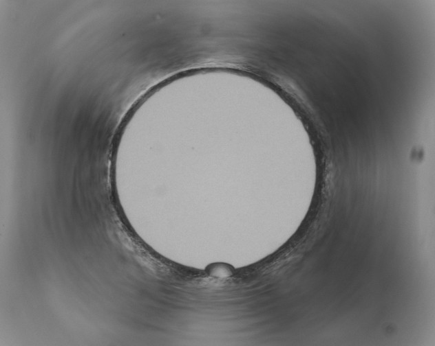 X0000112001268200909141052