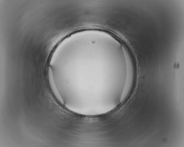 X0000112001269200909141052