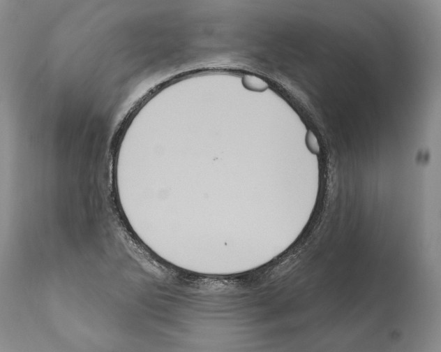 X0000112001270200909141052