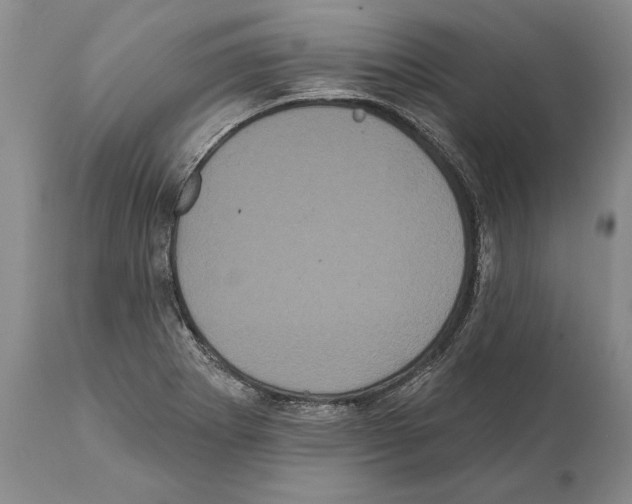 X0000112001273200909141052