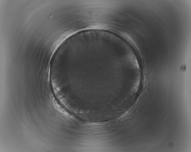 X0000112001276200909141052