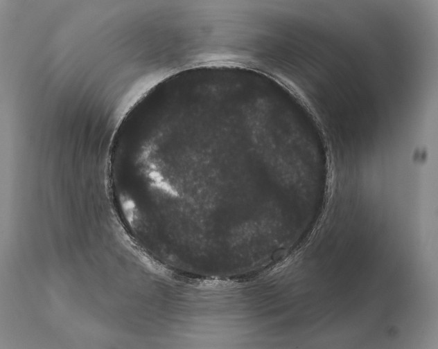 X0000112001277200909141052