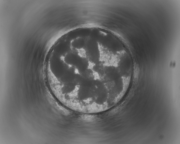 X0000112001278200909141052