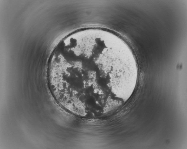 X0000112001279200909141052