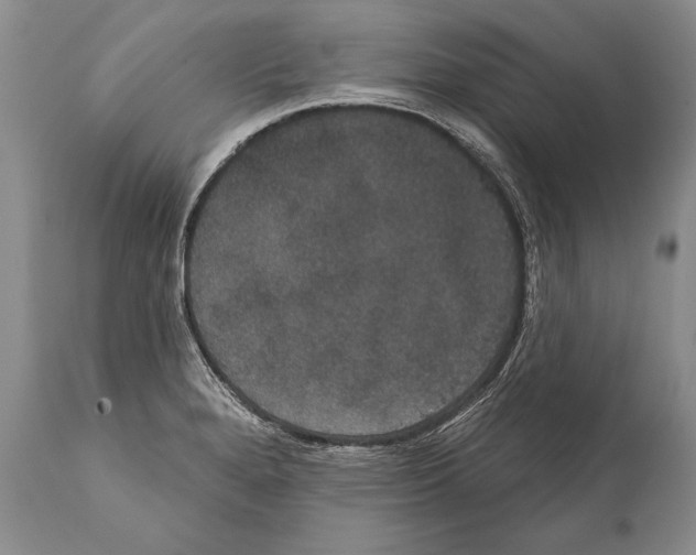 X0000112001280200909141052