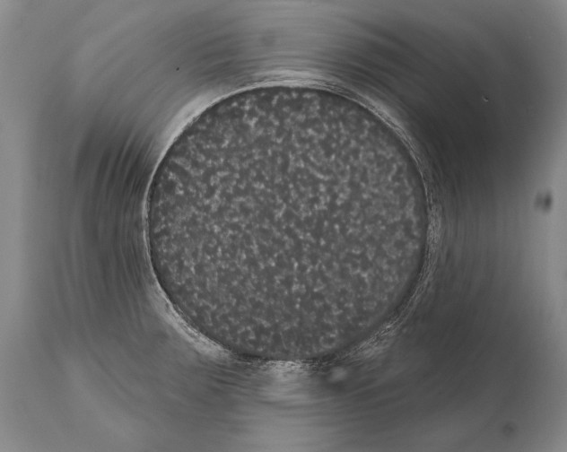 X0000112001283200909141052