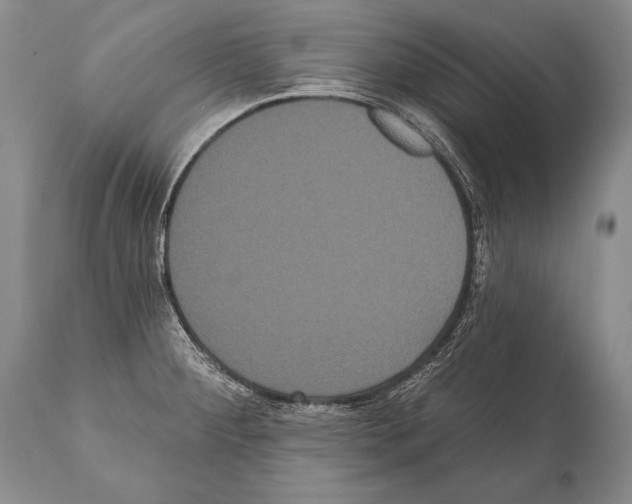 X0000112001284200909141052