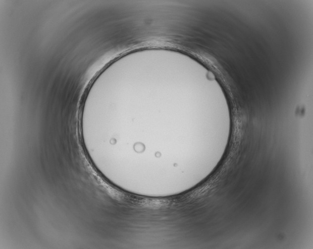 X0000112001286200909141052