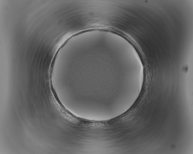 X0000112001291200909141052