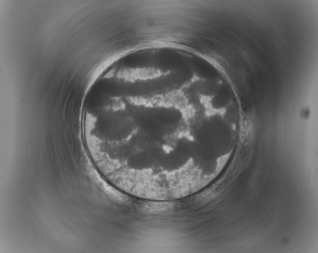 X0000112001294200909141052