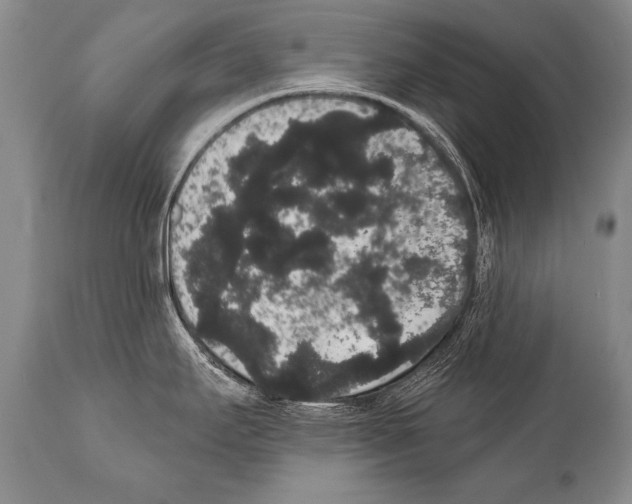 X0000112001295200909141052