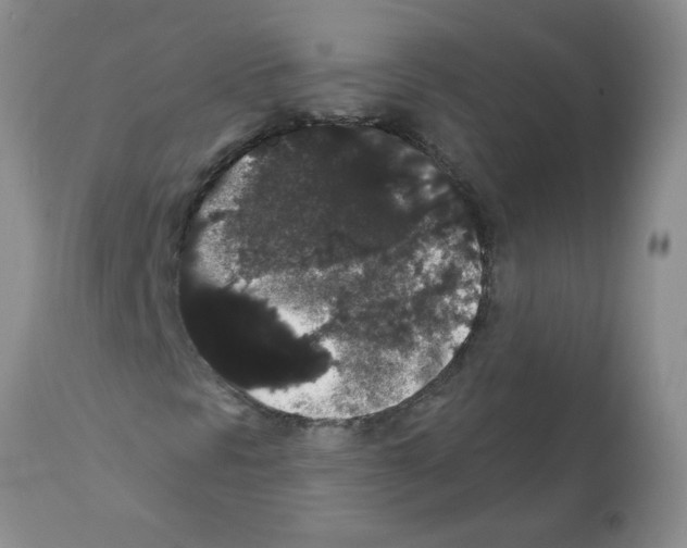 X0000112001297200909141051