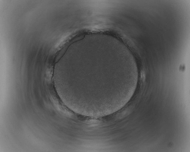 X0000112001300200909141051