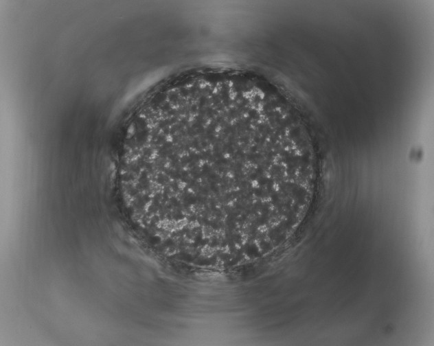 X0000112001302200909141051