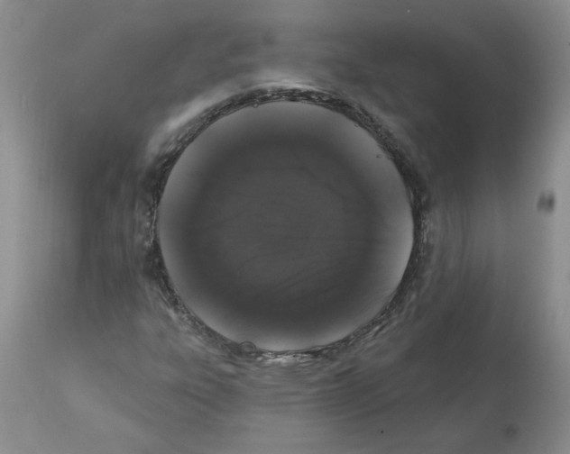 X0000112001303200909141051