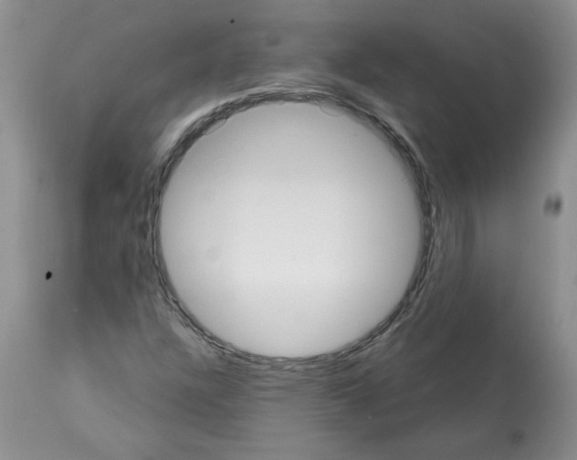 X0000112001304200909141051