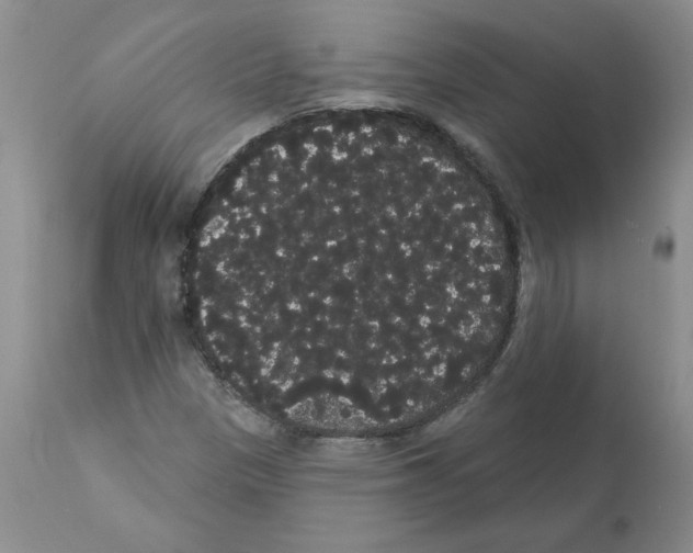 X0000112001305200909141051