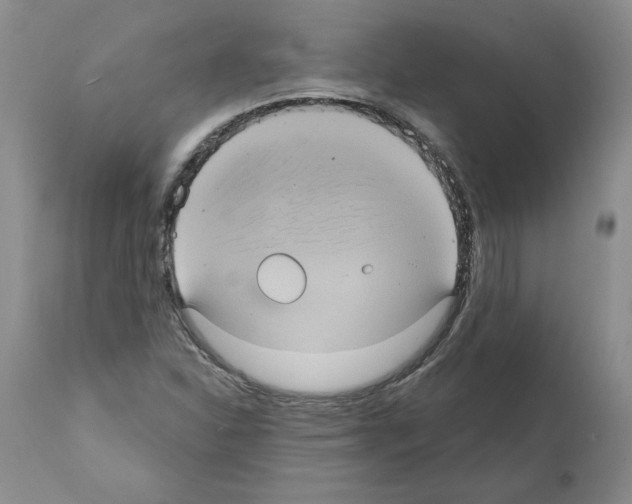 X0000112001310200909141051