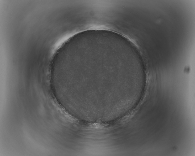 X0000112001311200909141051